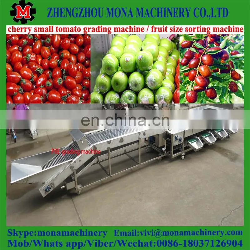 size fruit sorting machine by fruit diameter / small size high speed fruit grading machine