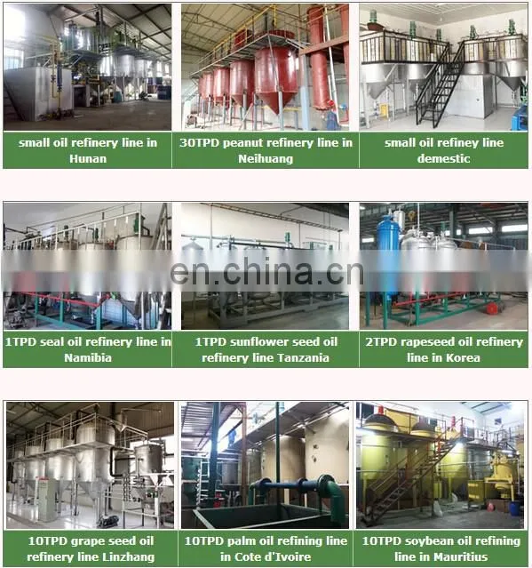 Hot sale Multi-functional oil mill project/olive oil extraction machine/home olive oil press machine