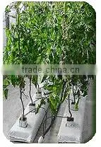 GREENHOUSE GROW BAG