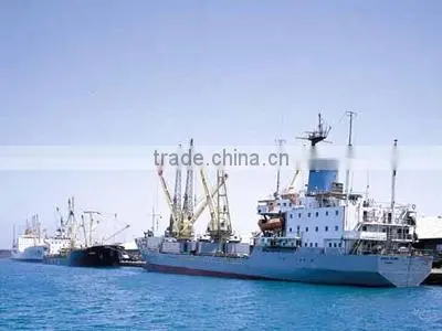 pure Agarwood Oil Manufacturer
