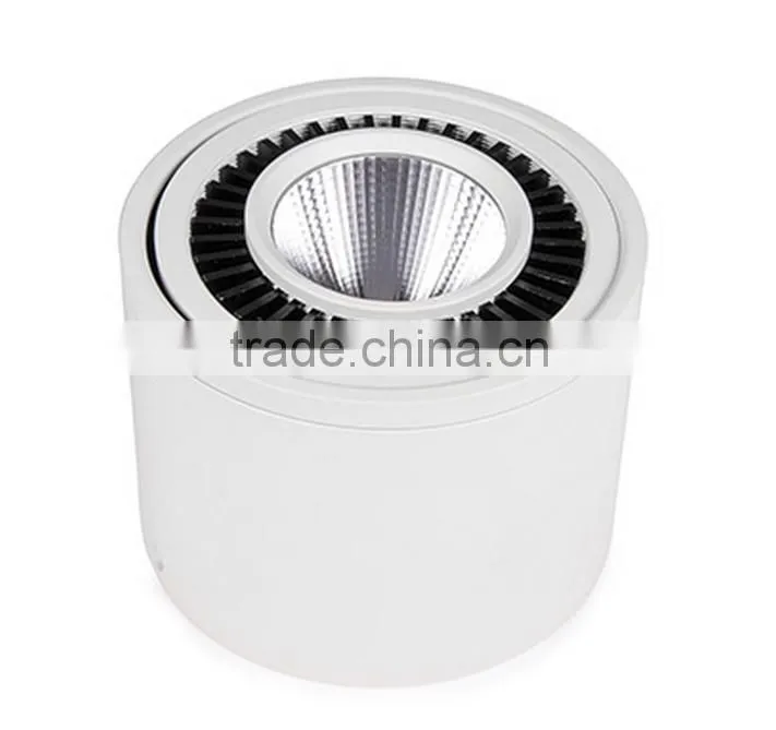 High Quality IP44 Indoor Using CREE Chips Lifud Driver Surface Mount Adjustable 20W 30W COB LED Round Downlight
