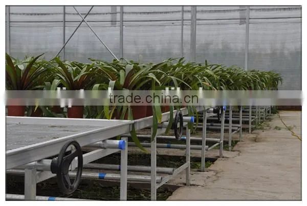 Hot Sale Cut Flowers Used Greenhouse Bench