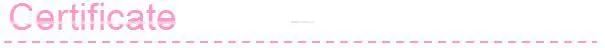 burlywood kids wooden splittable dinning chair