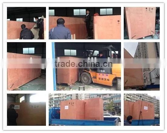 High Speed Label Flexography Printing Machine in Sale