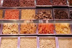fruit dryer equipment