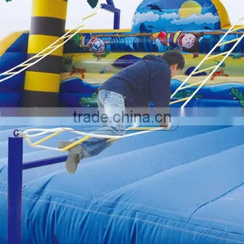 Cheer Amusement Interactive bouncer inflatable sport games