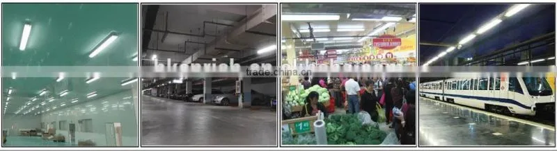 Super brightness Emergency led tri-proof
