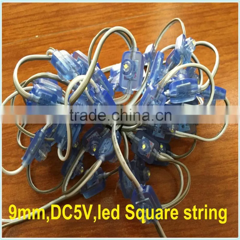Christmas Holiday Name and 5V Voltage battery powered led square string light