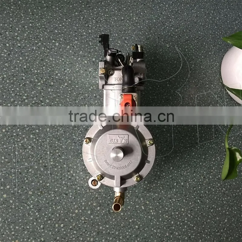 BISON(CHINA) LPG Biogas Conversion Kit For Gasoline Gas Generator