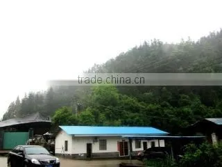 Chongyi Longbin Carbon Industry Co., Ltd. company overview - view 1