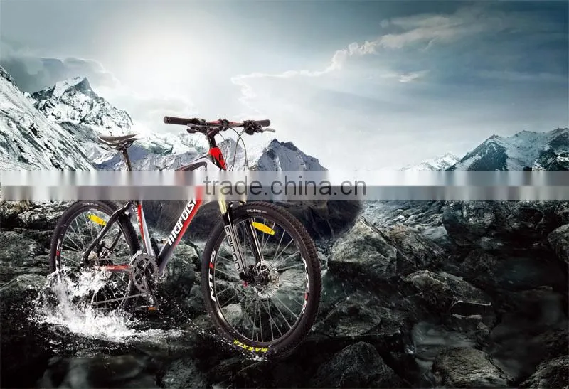 titanium 451 road frame