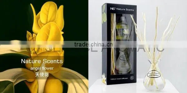 NS Nature Scents 160ml with vase Natural Diffuser Gift Set