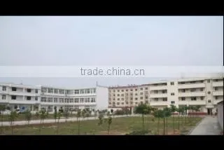 Lujiang Bright Down Textile Co., Ltd. company overview - view 2
