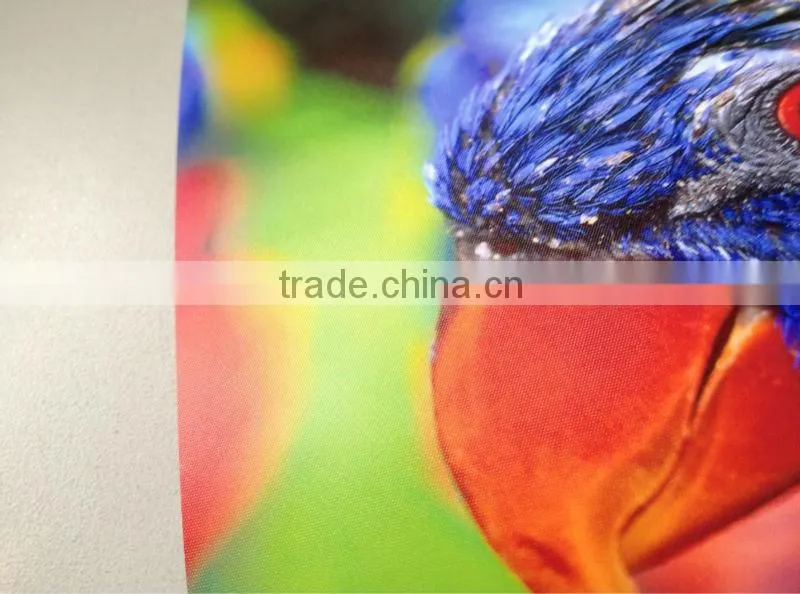RC Roll Photo Paper waterproof, 240g, 0.203m,0.254mX30.5m,101m