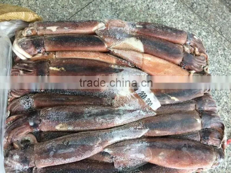 Frozen Squid whole Argentina Illex