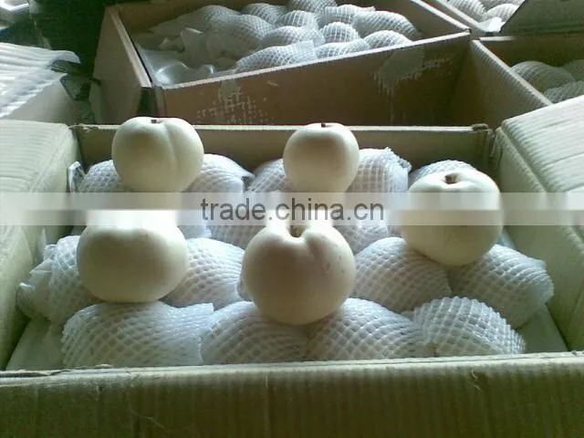 Fresh fruit emerald pear with good price for exporting