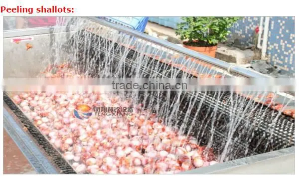 MSTP-500 automatic electric ginger washing and peeling machine