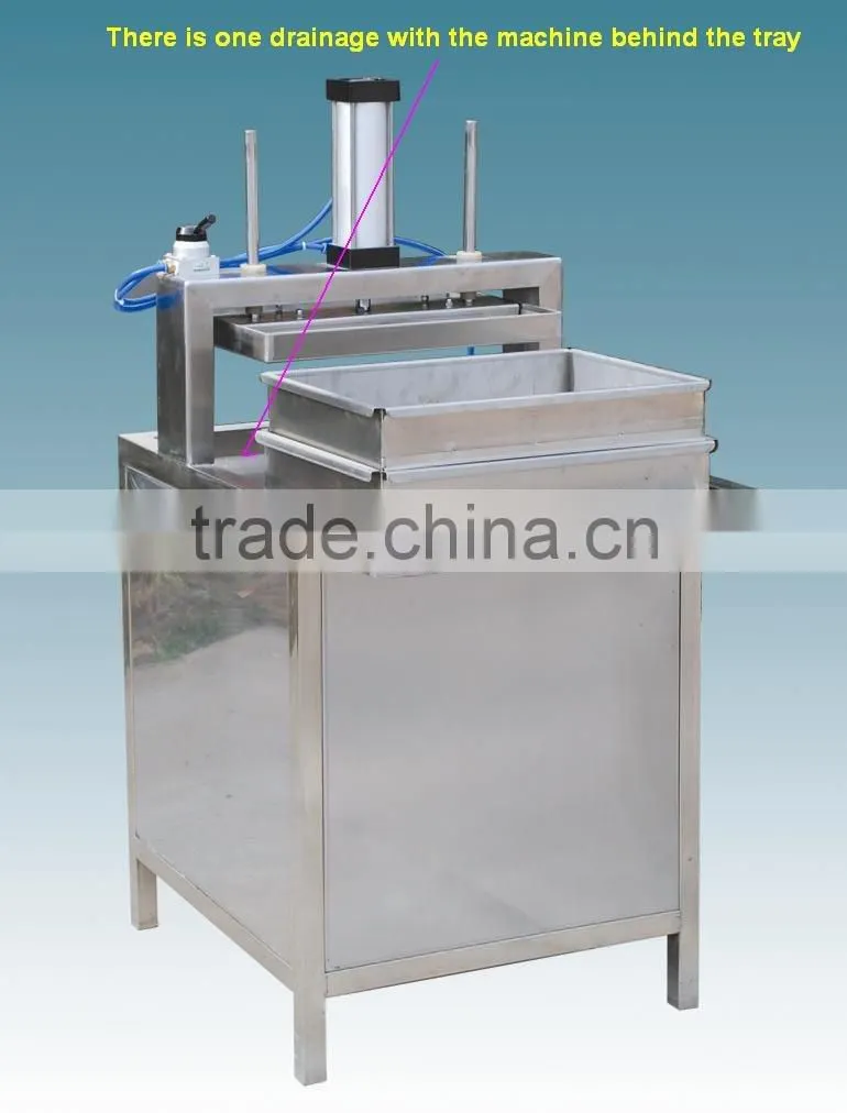 WSD-Y-1 soyabean curd machine