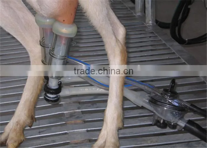 Farm Milking Parlour Plant for Goats and Sheep