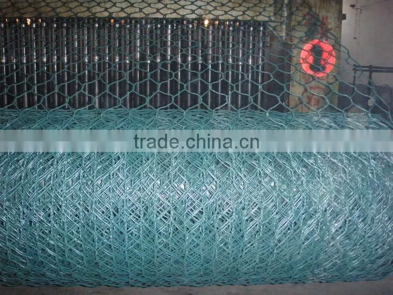 Hexagonal wire mesh