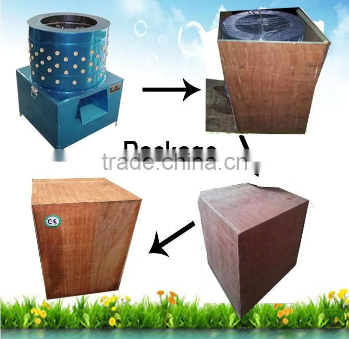 2014 hot selling cheap chicken plucking machine