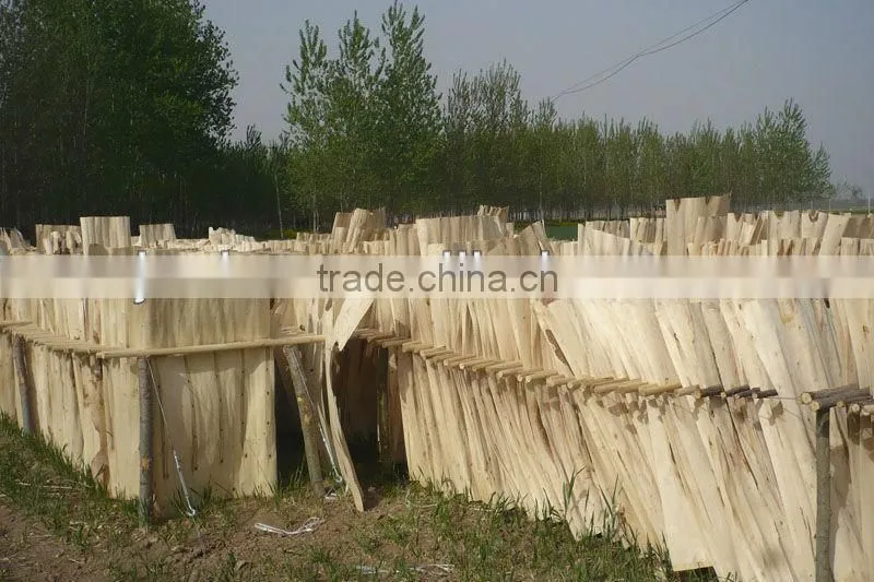wood cheese slicer for wood processing