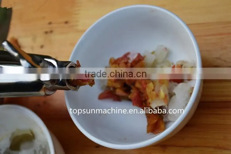 factory hot sale stainless steel wheatgrass juicer
