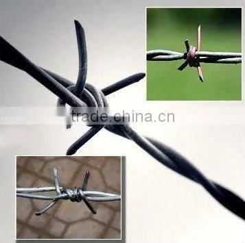 High Quality and Low Price Electro&Hot Dipped Galvanized Barbed Spiral Wire Iowa(Joint Venture Manufacturer)