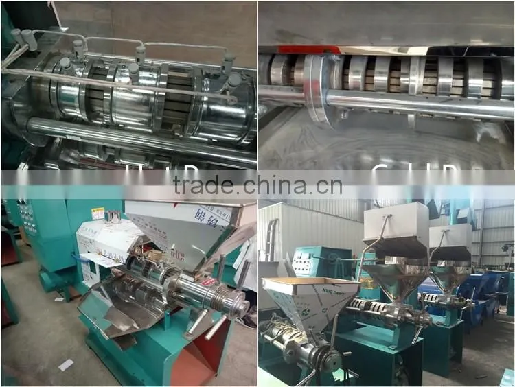 HSM ISO CE Mini Home Use Oil Press Machine Price