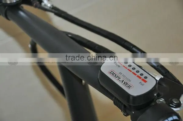Cheap 250W Folding Electric Motor Bicycle with EN15194, EN14764 (EF03)