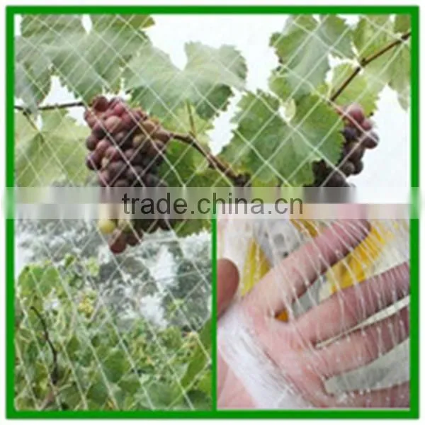 hdpe agricultural bird netting, plastic garden bird catch net for sale