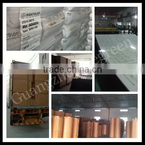 Freesky plastic window canopy, PC canopy