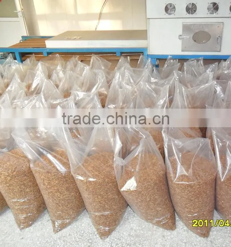 Good Quality mealworm treats