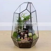 Micro landscape plant glass greenhouse clear geometric terrarium