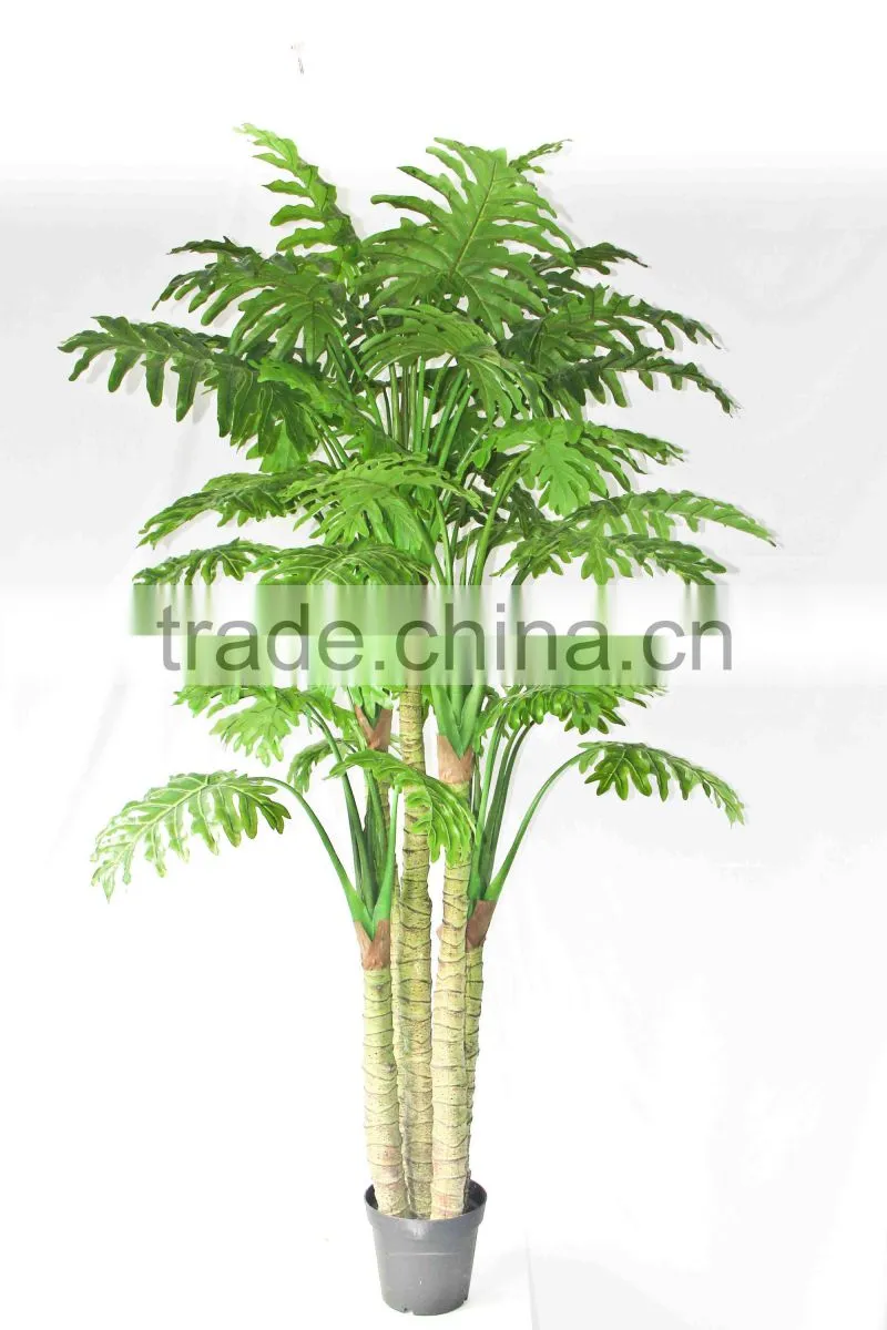 Wholesale outdoor use potted plants