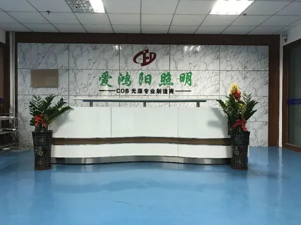 Shenzhen Aihongyang Lighting Co., Ltd. company overview - view 1