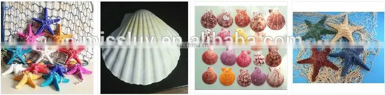 DIY natural seashell color style charm shell accessories for jewelry finding