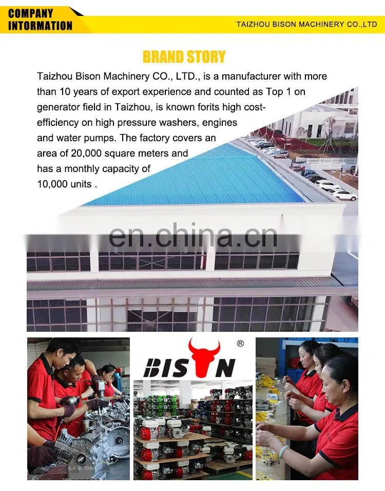 BISON China Electric Pressure Washer 200bar Electric Home High Pressure Cleaner