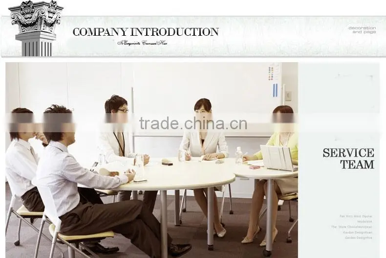 High Quality Curtain/ Wholesale Blinds/Office Vertical Blind