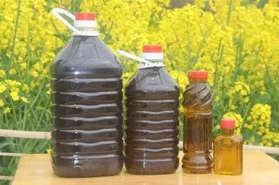 Oil Pressing Machine Tea Seed Sesame Hydraulic Press, Commercial Full-automatic Vertical Press, Sesame Oil Machine
