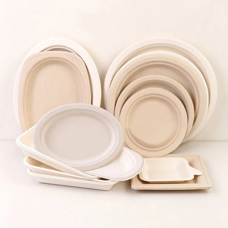 bagasse-plates-assorted-sizes-clean