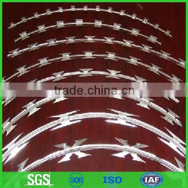 Concertina Razor Barbed Wire with best price