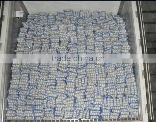 Dry White Garlic