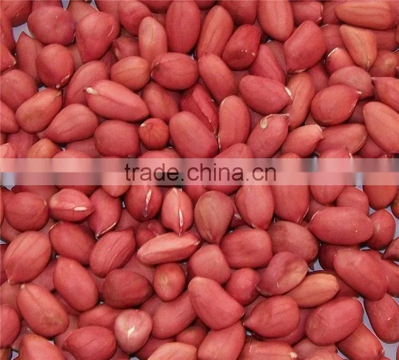 Shandong Roasted peanut inshell