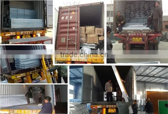 Huaxing New Design automatic Broiler /dorking chicken Cage
