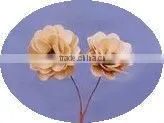 Dried flower