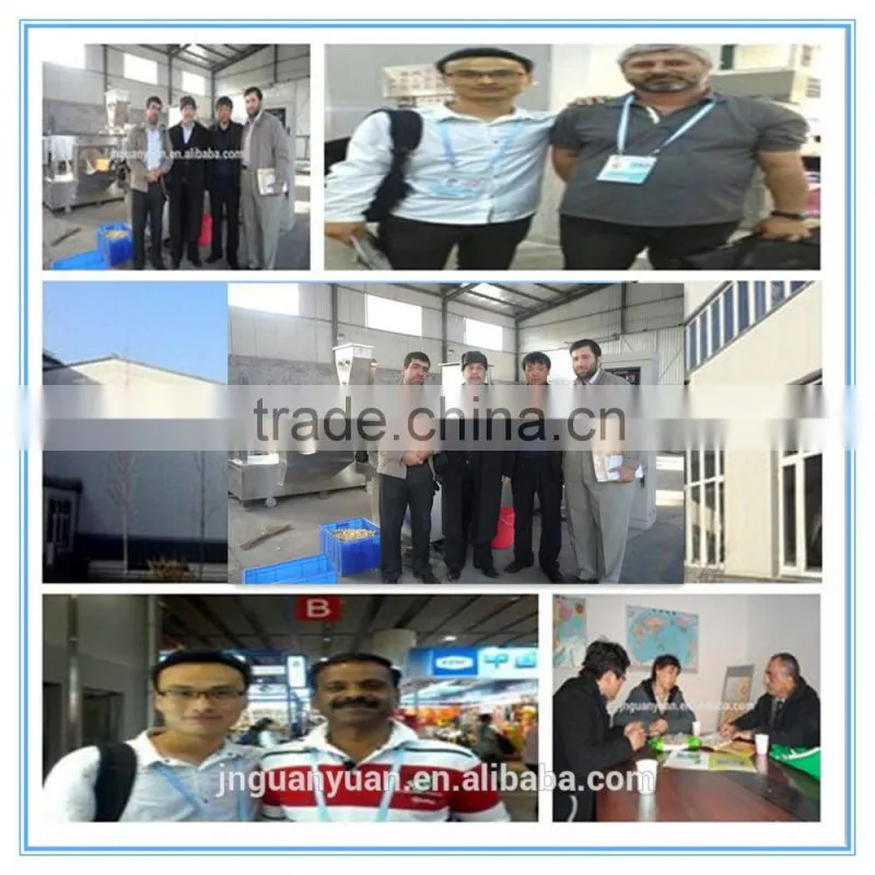 Textured Vegetarian Protein Extrusion Food Machine/protein food making extruder