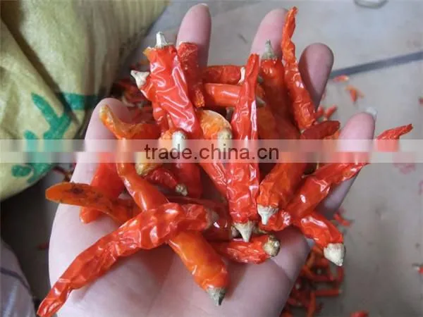 pepper stem removing machine|dry or fresh pepper stem cutter machine|dry chili stem cutting machine