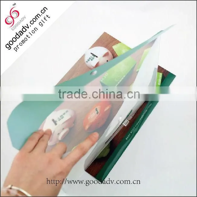 Chinese manufacturer A4 size colorful printing file folder for office supplier