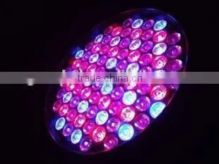 high end whaterproof 84*3W LED par light